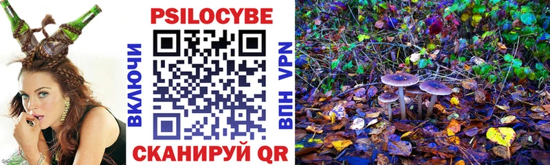 Купить  Морозовск  Галлюциногенные грибы Magic Shrooms 