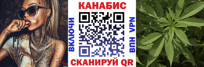 Каннабис сатива  Купить где  Морозовск 